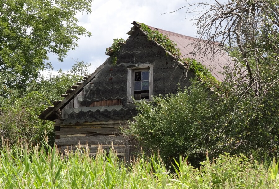 Abandoned Michigan Cabin