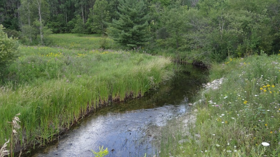 Au Gres River