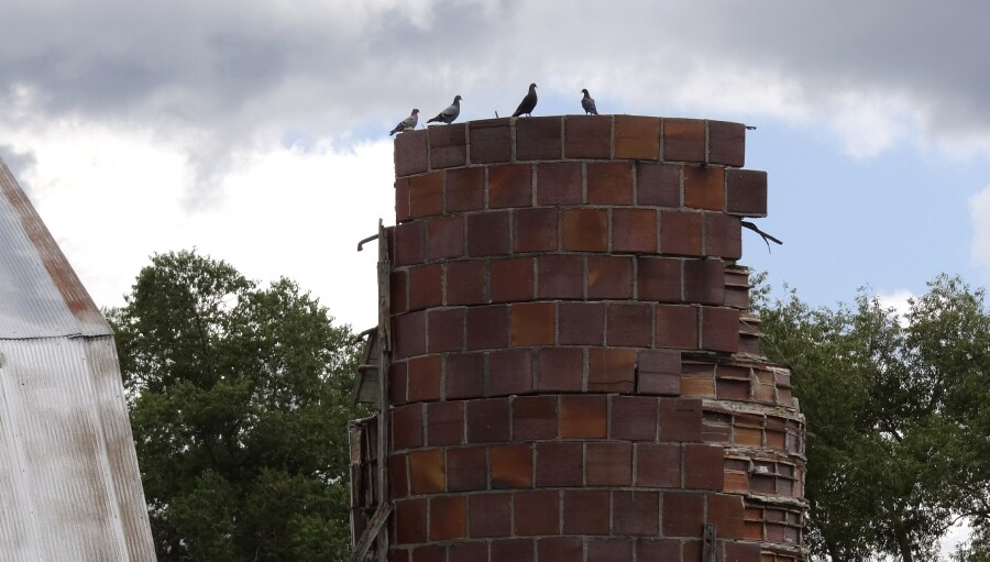 Abandoned Michigan Silo