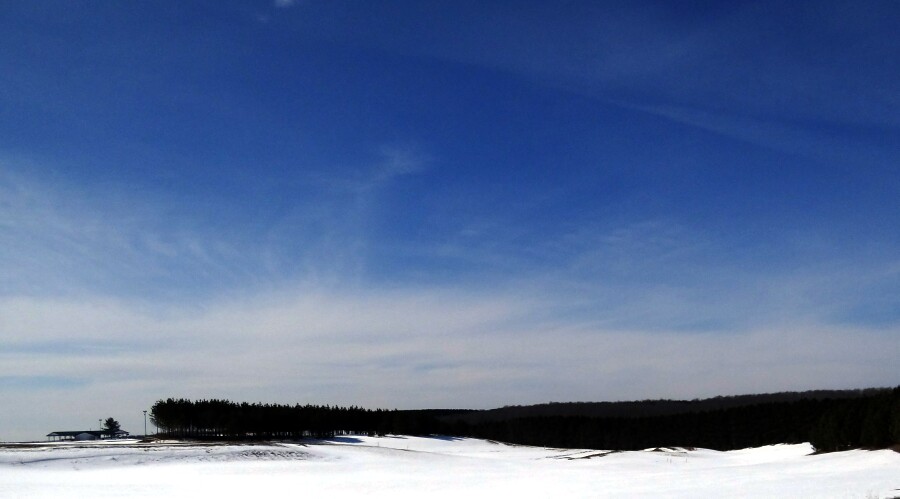 Blue Vista