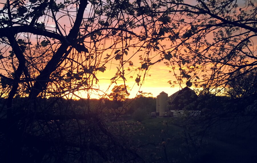 The Barn At Sunset
