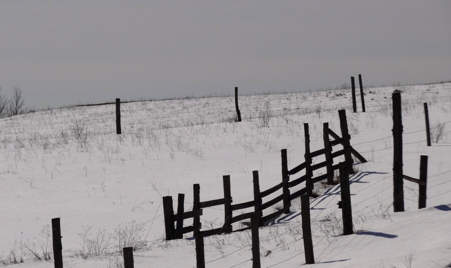 Snow Fence