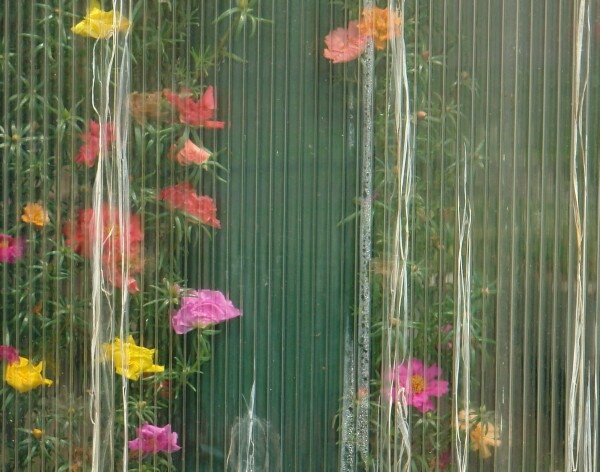 Greenhouse Abstract