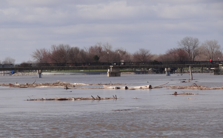 High Water Debris