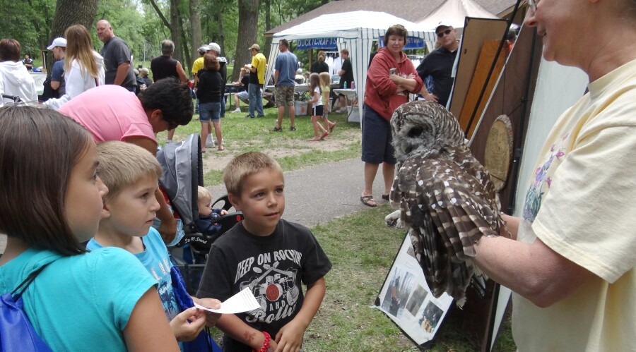 The Barred Owl