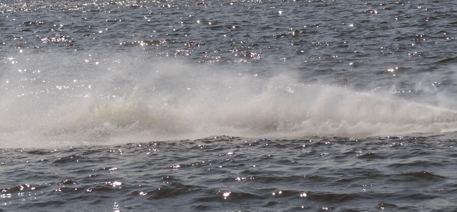 Spray