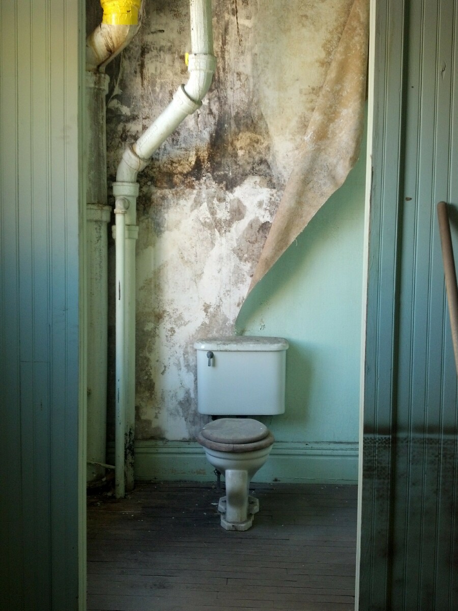 The Toilet