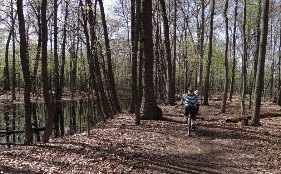Tobico Marsh Bike Path