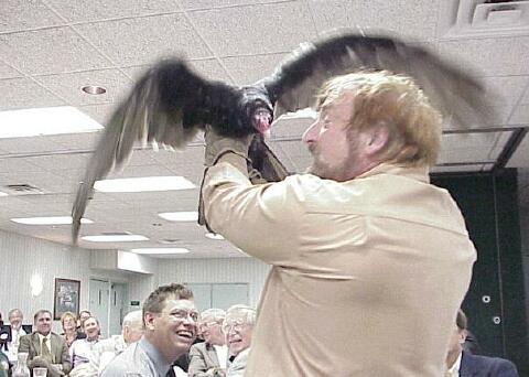 Rogers demonstrates the amazing amount of air a Vulture's wings can move