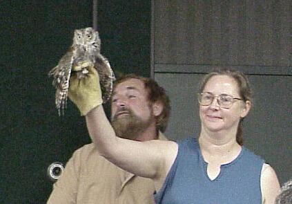 Barb Rogers shows a Screech Owl