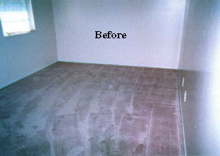 Before Color Your Carpet