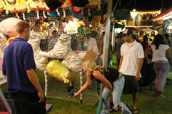 Win HIM a Tiger