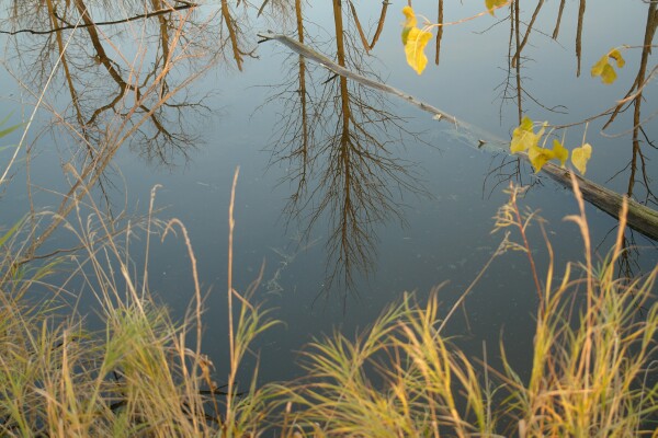 Calm water at Fish Point