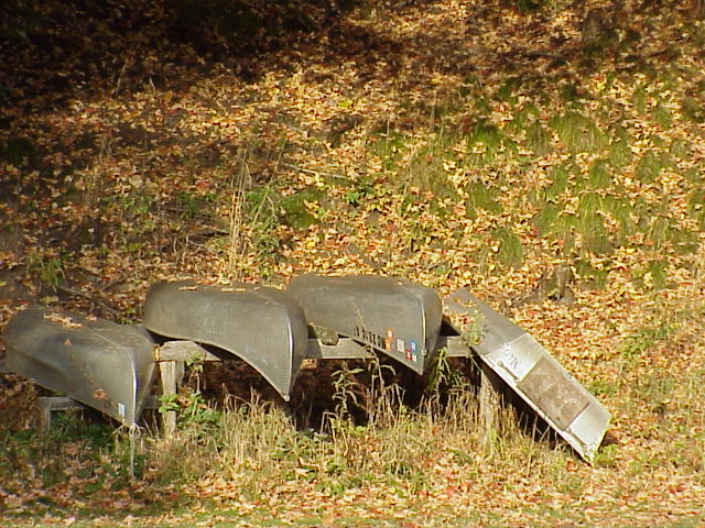 Fall Canoes