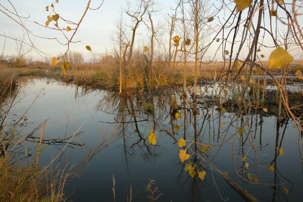 Calm water at Fish Point