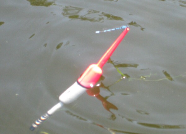 Hey! We're fishing here