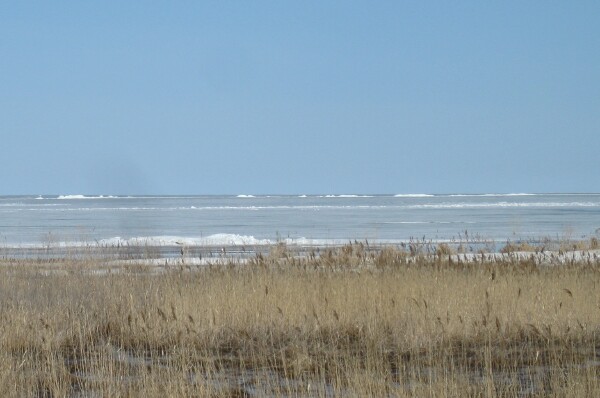 Last Ice on Bay
