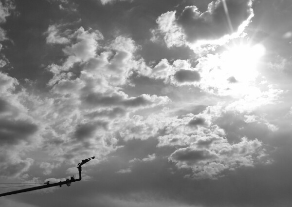 Aim for the Sky