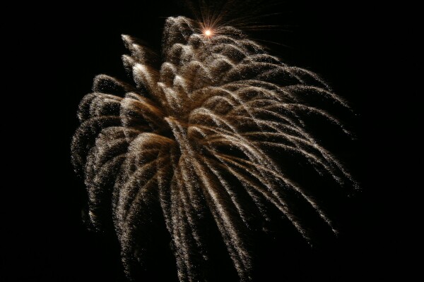 pyros white palm