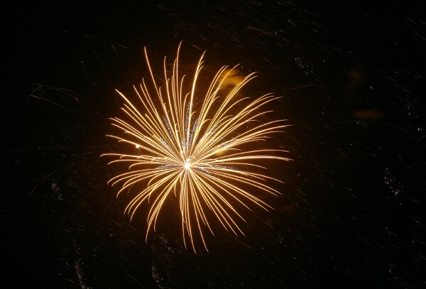 pyros yellow blossom