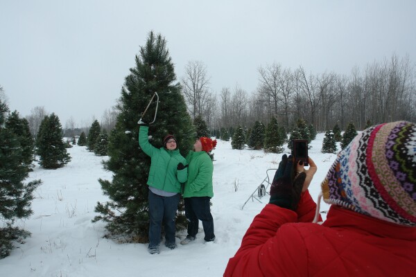 Selecting the Tree
