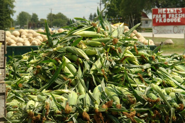 Corn Wagon