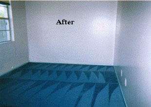 After Color Your Carpet