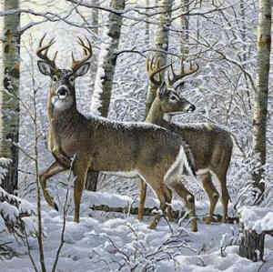 750,000 Hunters Seeking Michigan Whitetail Deer